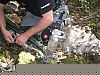dslspulung201012.jpg