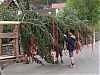 DSCN4126.JPG